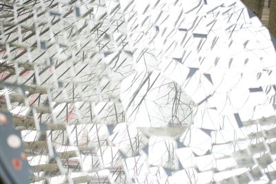 Close-up of food on table