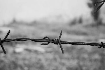 Close-up of barbed wire fence on field