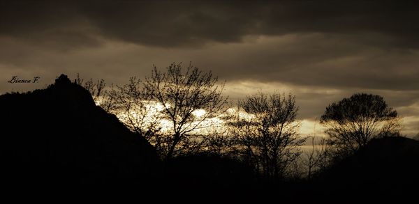 Low angle view of silhouette trees against sky at sunset