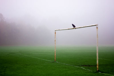 Scenic view of field against cloudy sky