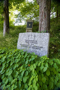 Information sign on tree trunk