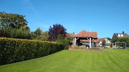 Trees and houses on field against blue sky