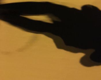 Close-up of silhouette cat against sky