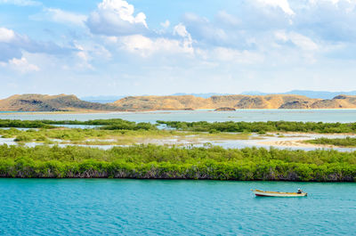 High angle view of boat sailing on sea by mangrove trees