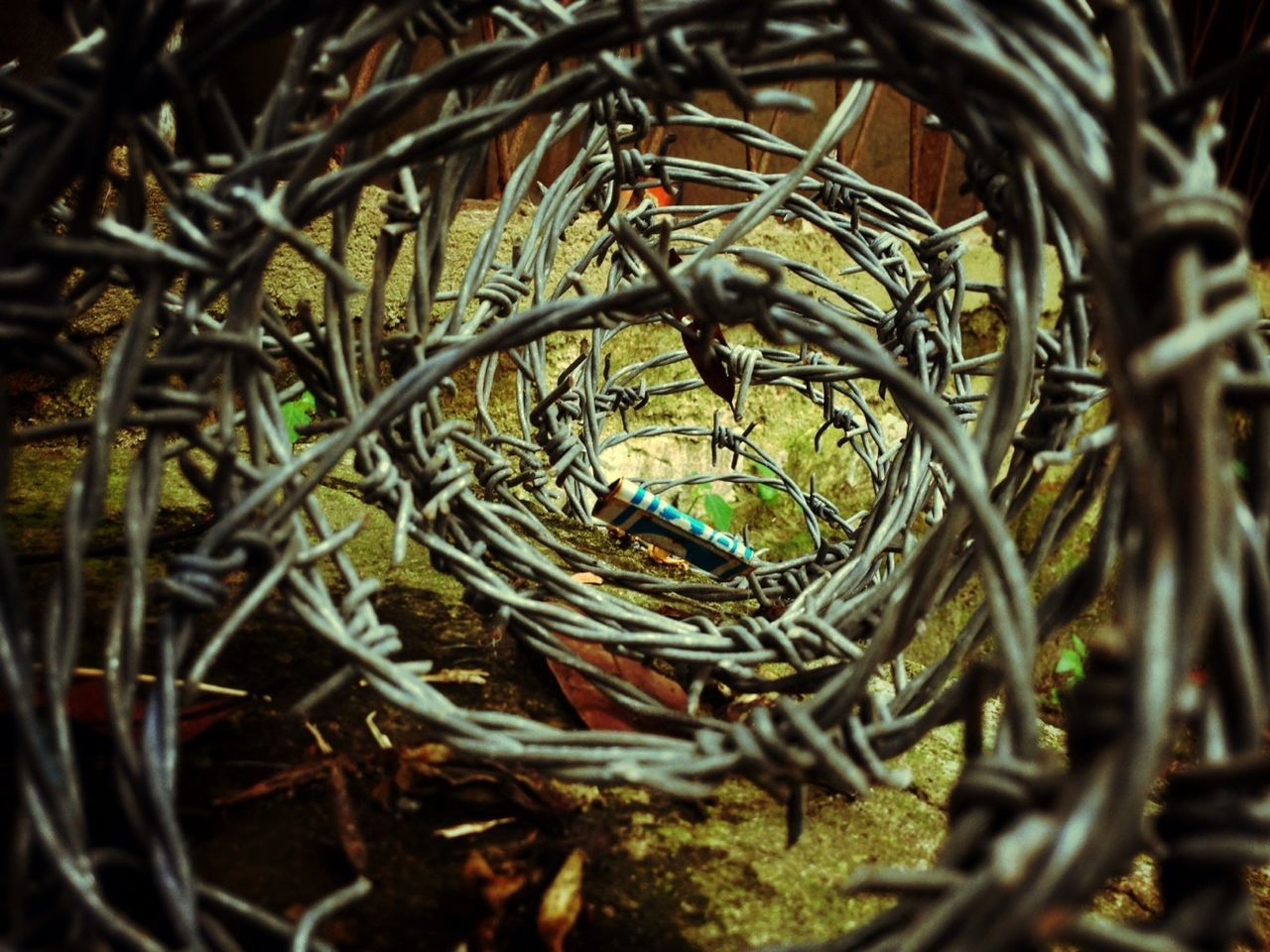 metal, close-up, metallic, pattern, selective focus, bicycle, no people, focus on foreground, day, outdoors, high angle view, backgrounds, protection, safety, plant, part of, wheel, complexity, nature, growth