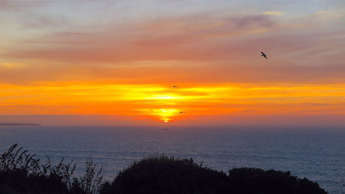 Scenic view of sea against orange sky