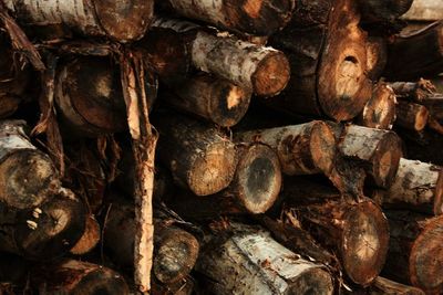 Full frame shot of logs