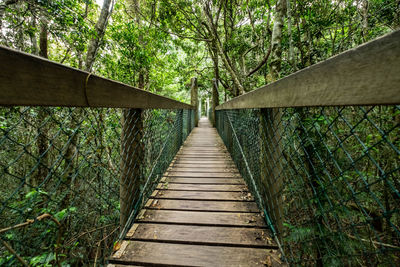 Wooden footbridge amidst trees in forest