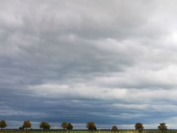 Low angle view of trees against sky