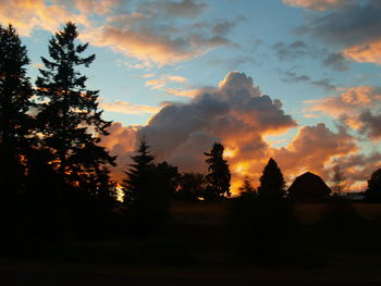 Silhouette trees in forest against sky at sunset