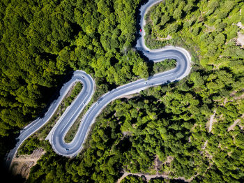 Aerial view of road amidst trees in forest