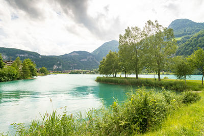 Scenic view of lake by trees against sky