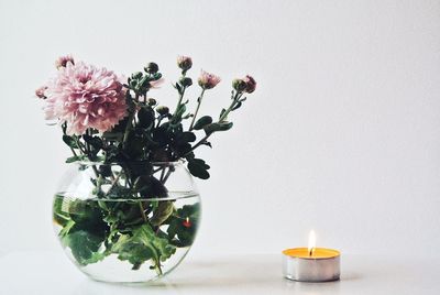 Flower vase on table against white background