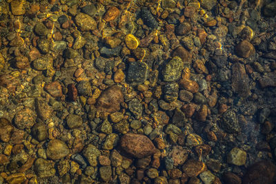 Full frame shot of pebbles in water