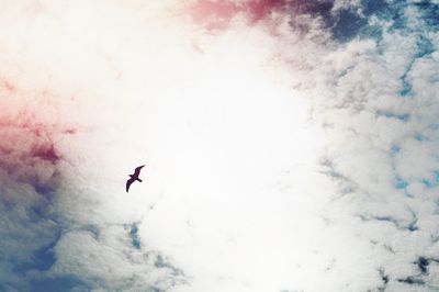 Close-up of insect against sky