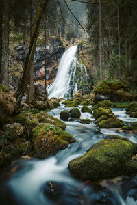 Scenic view of waterfall in forest