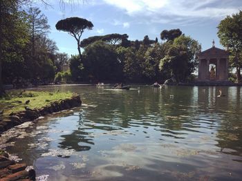 Reflection of trees in water