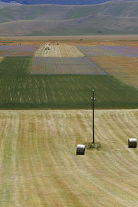 Hay bales on field