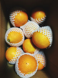 High angle view of oranges on table