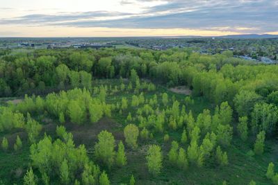 High angle view of trees on landscape against sky