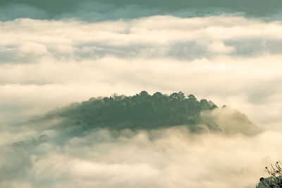 View of trees amidst fog during sunset