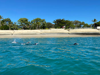 Swimming pool in sea against blue sky