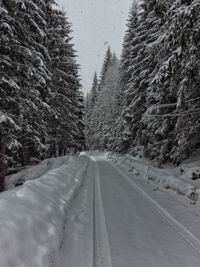 Road amidst trees against sky during winter