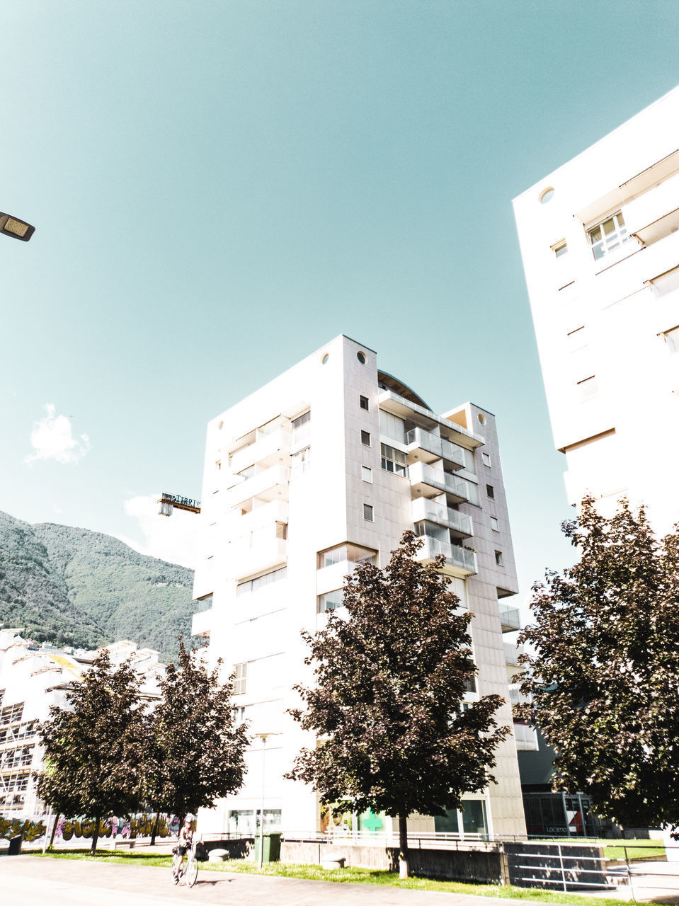 LOW ANGLE VIEW OF BUILDINGS AND TREES AGAINST CLEAR SKY