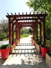 Empty footpath in park