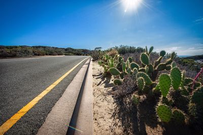 Road amidst plants against clear sky