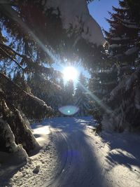 Snow covered trees against sky