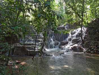 Scenic view of waterfall in forest