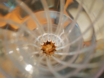 Close-up of spider on glass