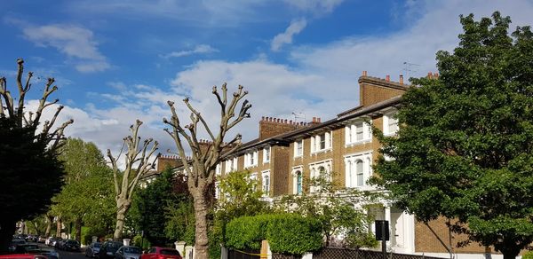 Low angle view of trees and buildings against sky