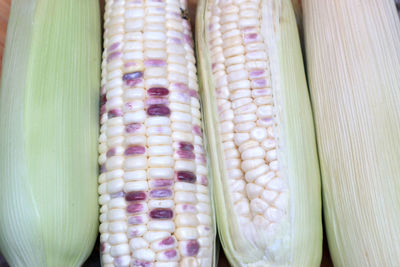 High angle view of vegetables