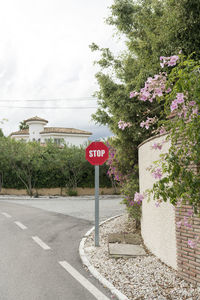 Road sign by trees on street in city