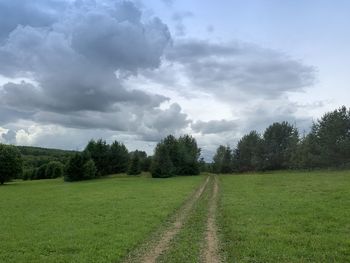 Scenic view of field against sky