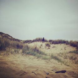 Scenic view of landscape