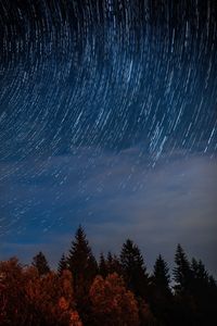 Trees against sky at night