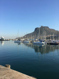 Sailboats moored in harbor