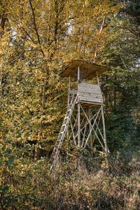 Built structure in forest during autumn