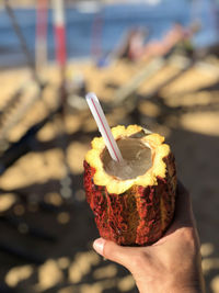 Cropped hand of person holding food