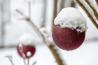Close-up of frozen strawberry on snow