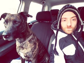 Portrait of dog sitting in car