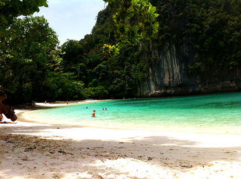 Scenic view of beach against trees