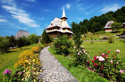 Low angle view of pathway to barsana monastery