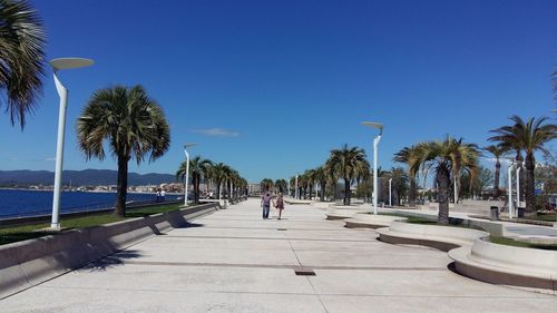 Palm trees on footpath by sea against clear blue sky