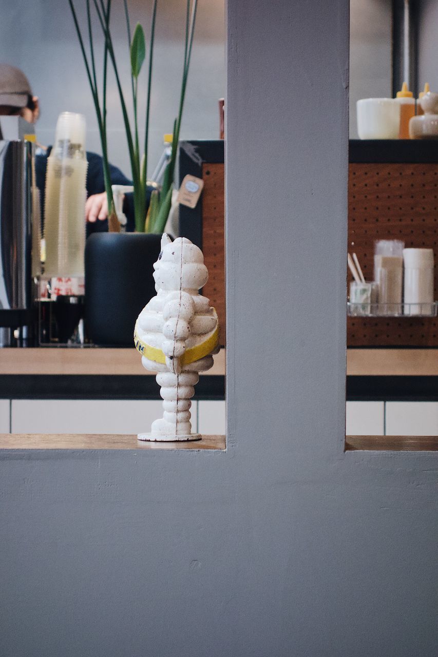 CLOSE-UP OF WHITE POTTED PLANT ON TABLE