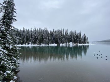 Maligne lake