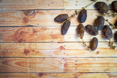 High angle view of shells on wooden table